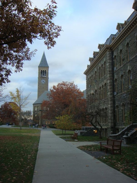 Cornell校園