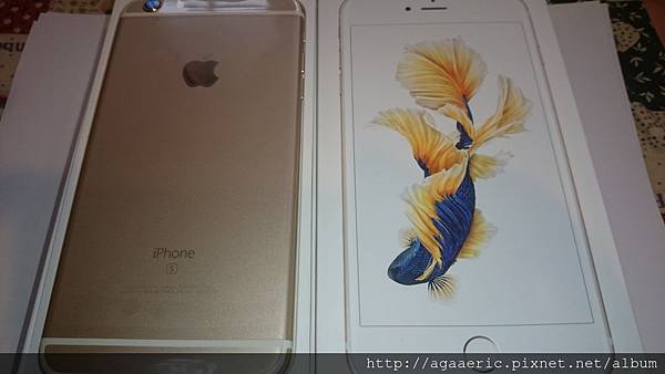 IPHONE6SPLUS-3.JPG IPHONE6SPLUS-3.JPG