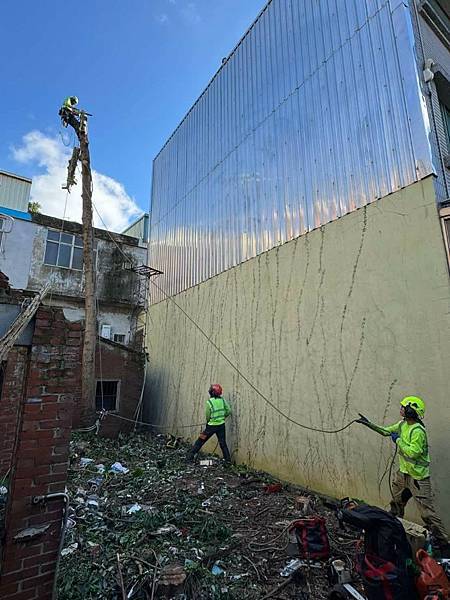 推薦 藝樹人工作室 — 台北樹木修剪的專業夥伴,為都市綠色注 推薦 藝樹人工作室 — 台北樹木修剪的專業夥伴,為都市綠色注