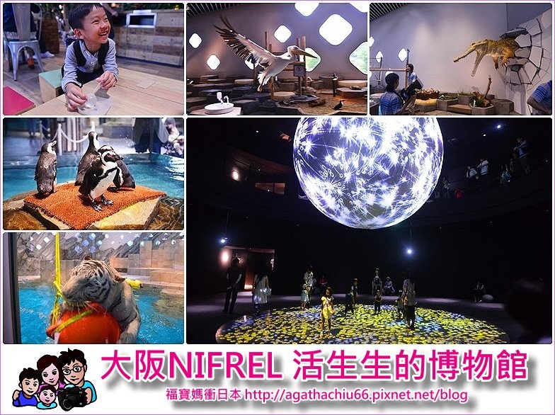 大阪景點 大阪expocity Nifrel水族館海遊館 零距離接觸鵜鶘狐猴企鵝 零距離觀賞水中生物 福寶媽衝日本美食藥妝購物景點 痞客邦