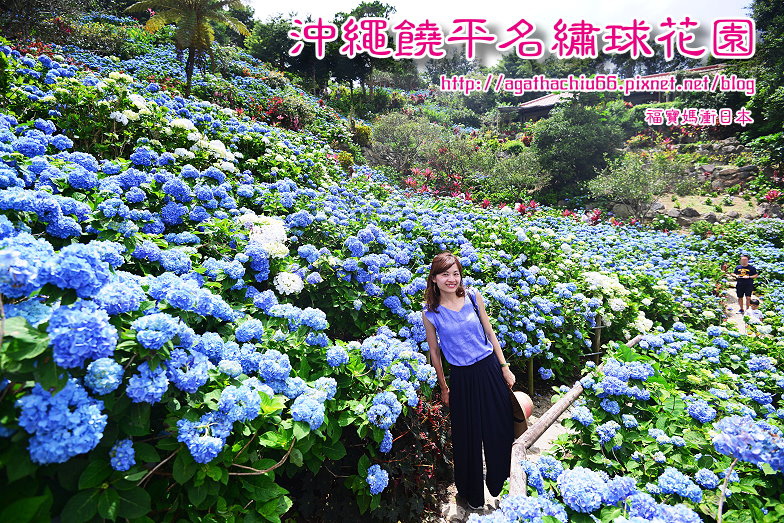 DSC_2909 - 複製.JPG DSC_2909 - 複製.JPG