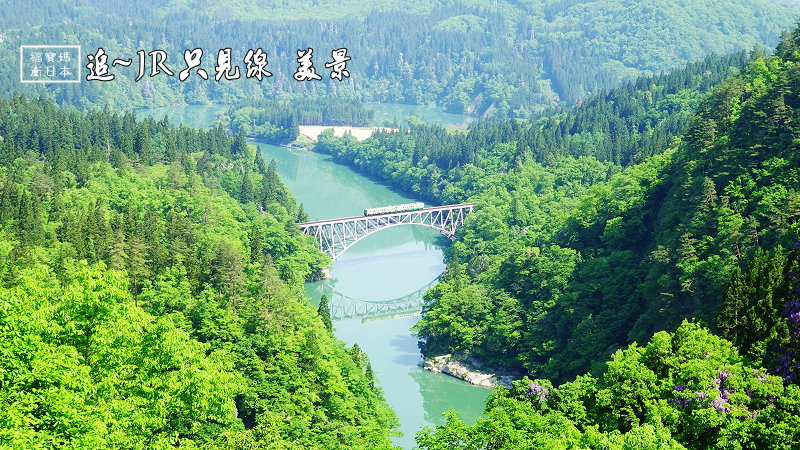 DSC06803 - 複製RR首.jpg DSC06803 - 複製RR首.jpg