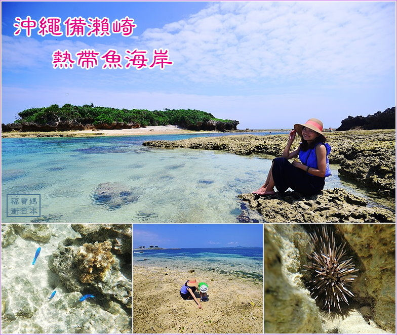 page 沖繩201706 備瀨崎3.jpg page 沖繩201706 備瀨崎3.jpg