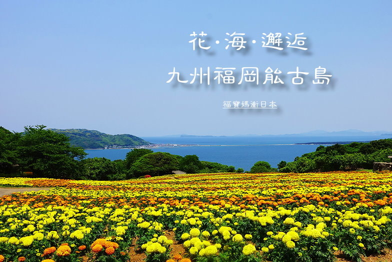 DSC09445 - 複製 (2).JPG DSC09445 - 複製 (2).JPG