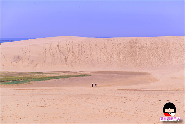 DSC_7829.JPG DSC_7829.JPG