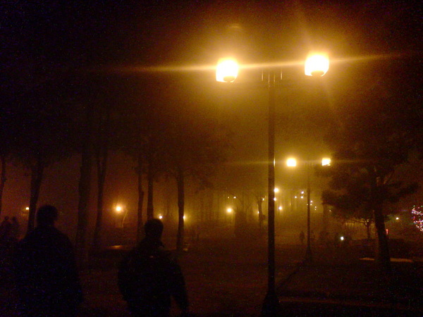 Foggy Night