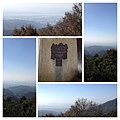 2013年12月3日同學陽明山之旅 038.png