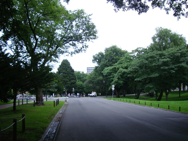 校內道路