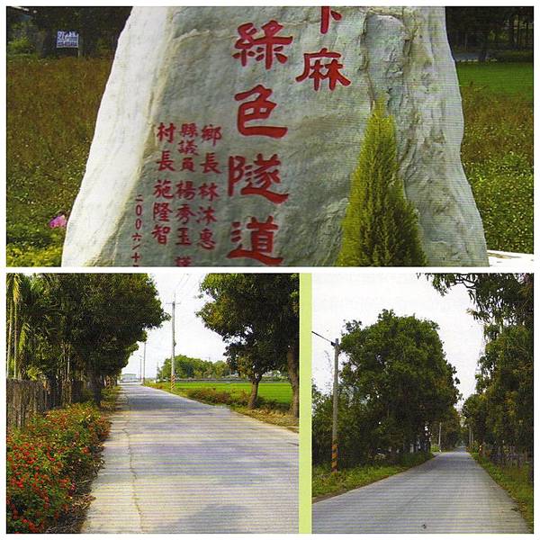 下麻綠色隧道.jpg