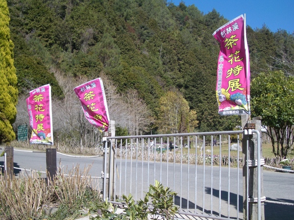 沿路都有指引布旗