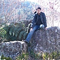 山中無老虎