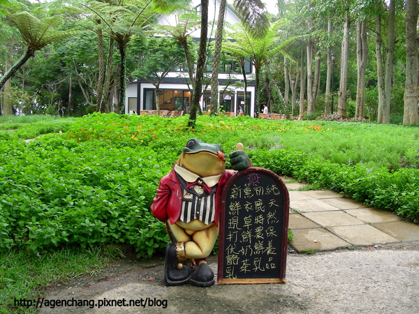 步道進去還有咖啡館