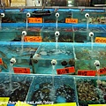 這些海鮮彷彿在說"吃我吃我"