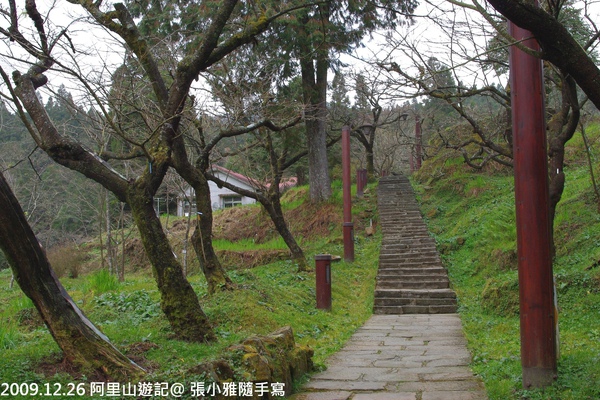 往阿里山賓館路上