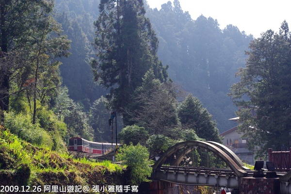 到阿里山車站看火車去