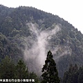 對面山頭的山嵐