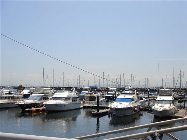 TORIHAMA HARBOR