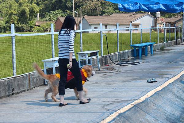 IMG_4229 IMG_4229