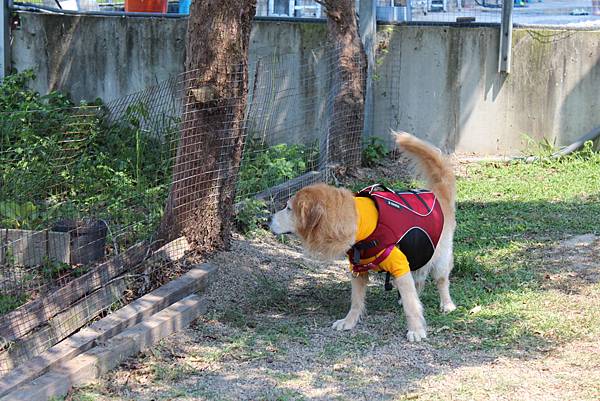 IMG_4730 IMG_4730