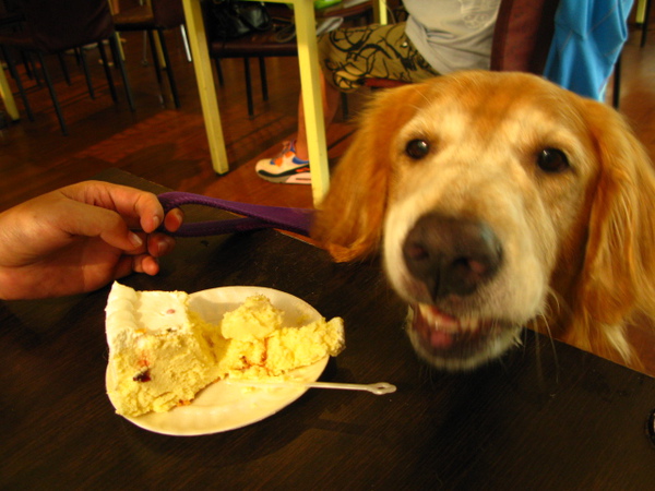 IMG_2725.JPG IMG_2725.JPG