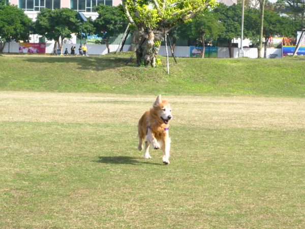 IMG_6249.JPG IMG_6249.JPG