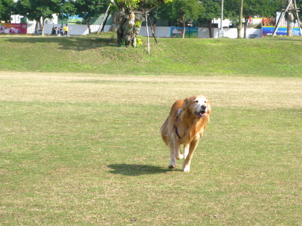 IMG_6250.JPG IMG_6250.JPG