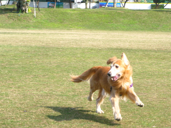 IMG_6251.JPG IMG_6251.JPG