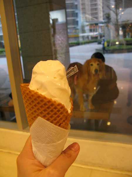 IMG_7249.JPG IMG_7249.JPG