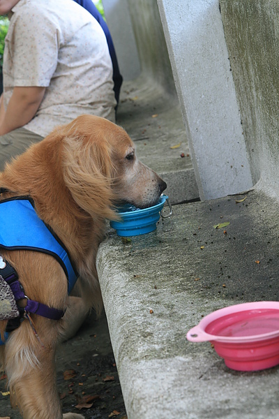 IMG_7411.JPG IMG_7411.JPG