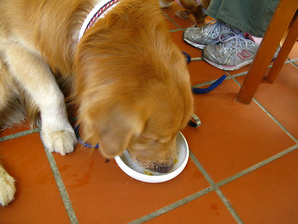 IMG_8411.JPG IMG_8411.JPG
