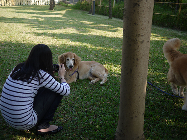 P1130839.JPG P1130839.JPG