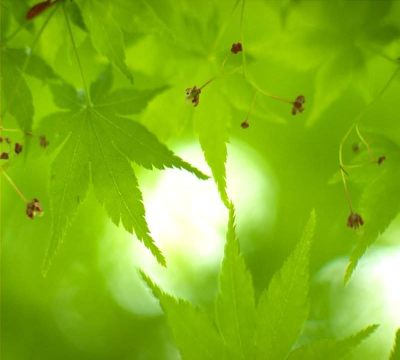存在。之四 存在。之四