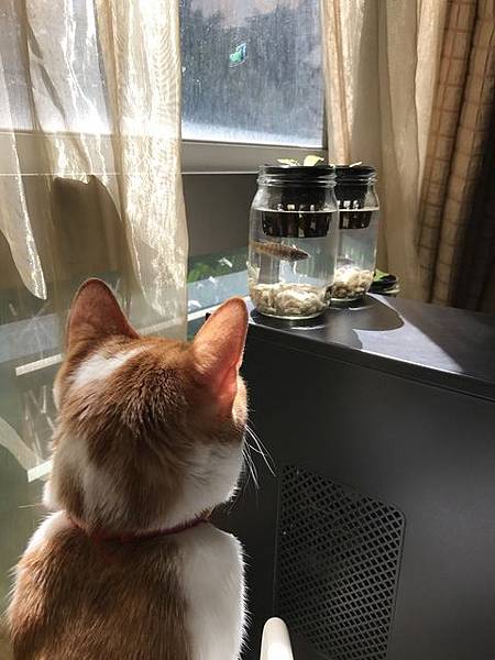 170425131040_XmitEad.jpg 170425131040_XmitEad.jpg