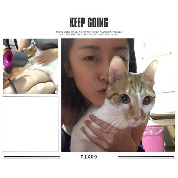 15977694_1850815755189004_4324430139625906981_n.jpg 15977694_1850815755189004_4324430139625906981_n.jpg