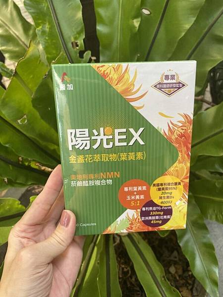 晶亮開箱/醫加陽光視界金盞花萃取物 試用