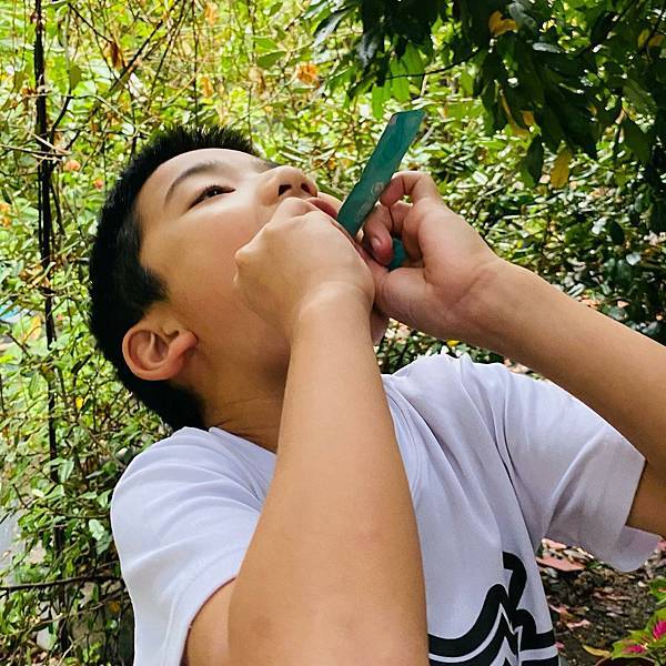 試用-益生菌推薦/永德生技 高敏力益生菌 試用