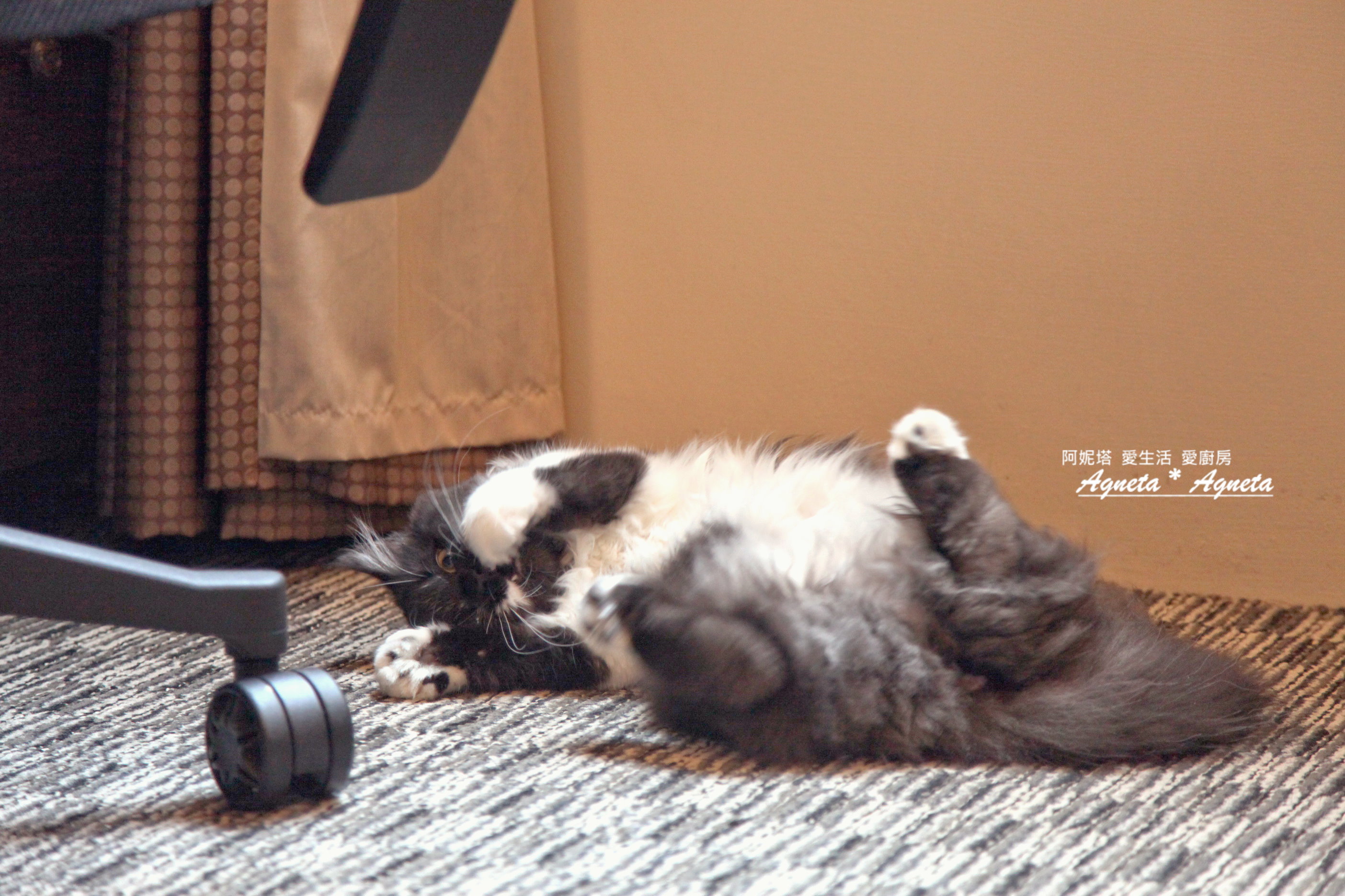 IMG_3431_resize IMG_3431_resize