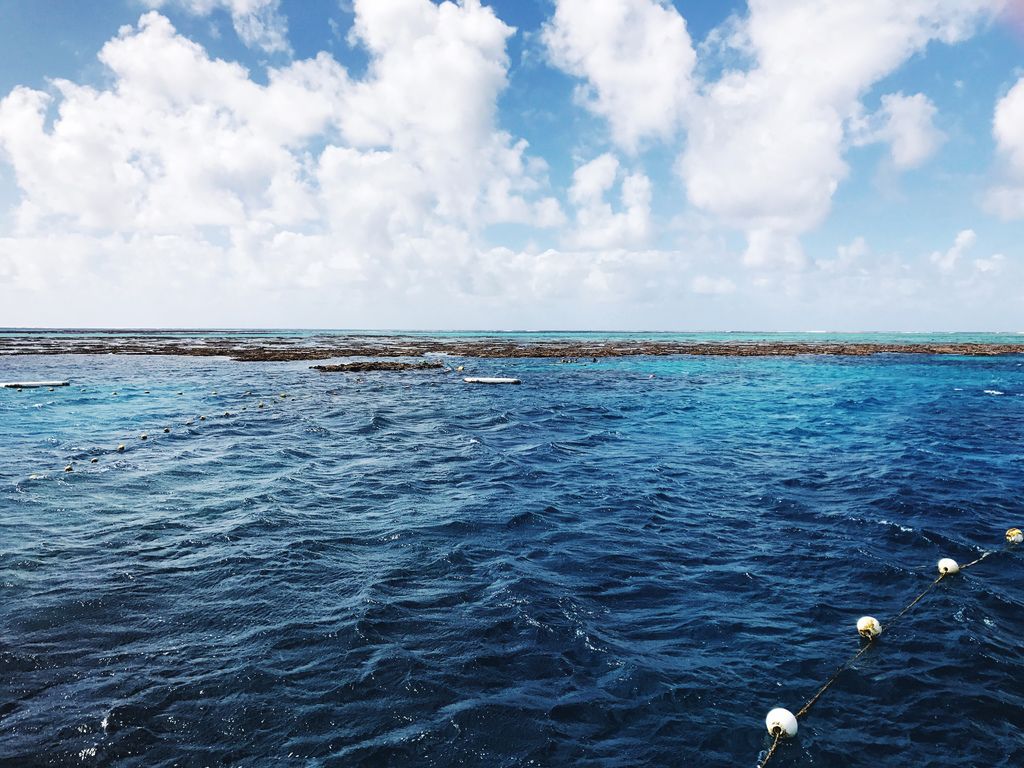 IMG_4387.JPG IMG_4387.JPG