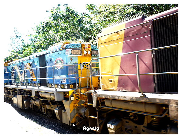 Kuranda station