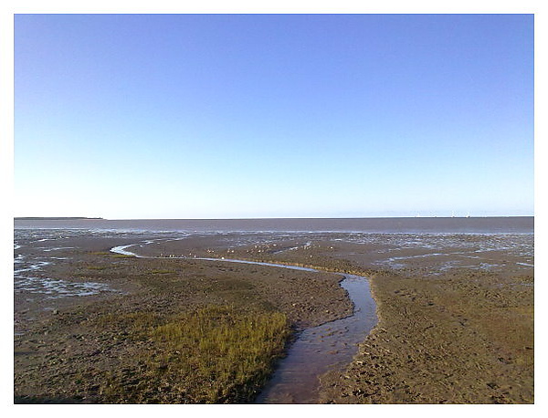 Cairns 海邊像是濕地