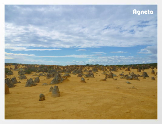 開了三個多小時，一切都好值得！！Pinnacles Desert 好奇妙喔～～～