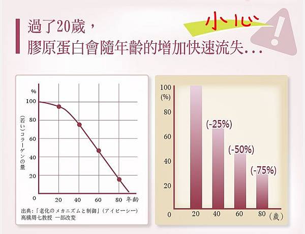 試用