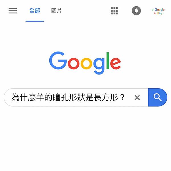 為什麼羊的瞳孔形狀是長方形的 A Google A Day 一天一google 痞客邦 為什麼羊的瞳孔形狀是長方形的 A Google A Day 一天一google 痞客邦