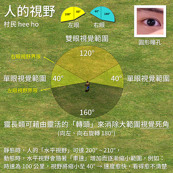 為什麼羊的瞳孔形狀是長方形的 A Google A Day 一天一google 痞客邦 為什麼羊的瞳孔形狀是長方形的 A Google A Day 一天一google 痞客邦