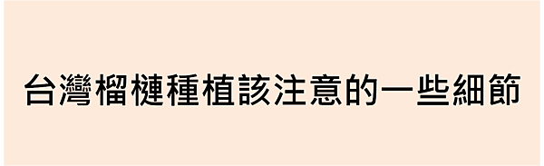 圖片2.png 圖片2.png
