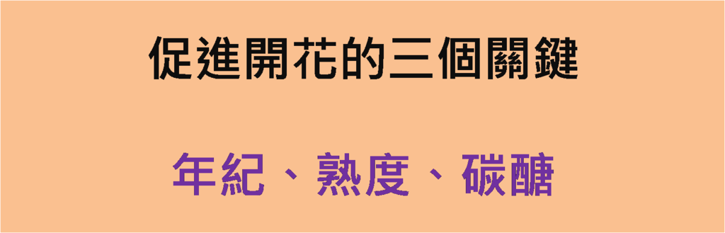 圖片1.png 圖片1.png