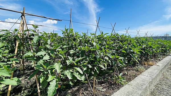 IMG_3602.JPG IMG_3602.JPG