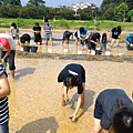 20150917 水田整地、插秧