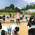 20150917 水田整地、插秧