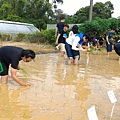 20150917 水田整地、插秧